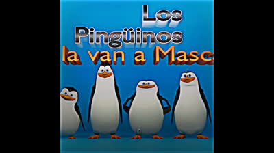 los pinguinos la van a mascar