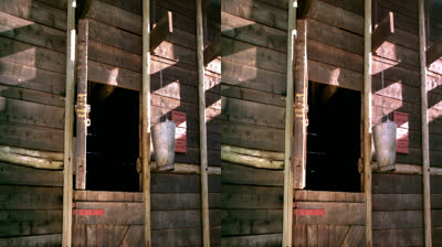 Imax - Born to be Wild 3D