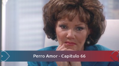 Perro Amor - Capitulo 66