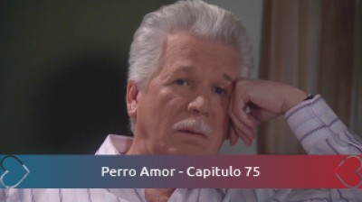 Perro Amor - Capitulo 75