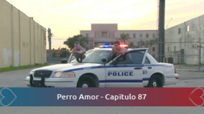Perro Amor - Capitulo 87