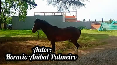 QUEDATE EN MIS SUEÑOS (CUMBIA)