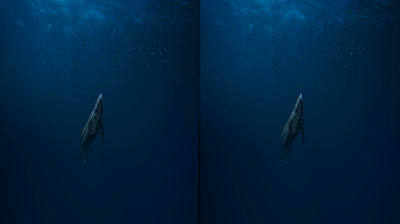 Sea Rex 3D - Una aventura prehistorica