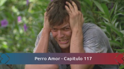 Perro Amor - Capitulo 117